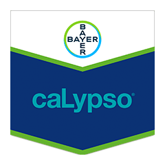 Calypso 480 SC - 1L