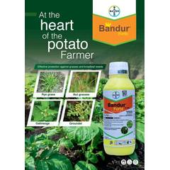Bandur Forte SC 600 - 1 Litre