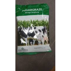 Sugargraze