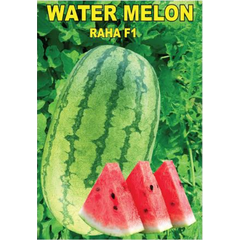 Watermelon Raha F1
