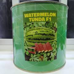 Watermelon Tunda F1
