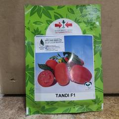 Tandi F1