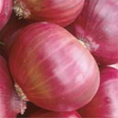 Red Jewel F1
