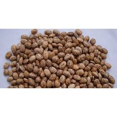 Mwitemania (GLP92) - 2Kg