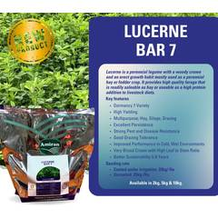 Lucerne Bar 7