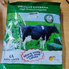 Lucerne Delight - 1Kg