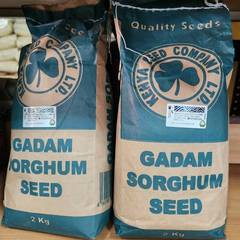 Gadam Sorghum - 2Kg