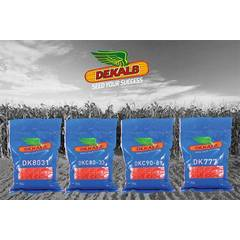 DK777 Hybrid Maize - 2Kg