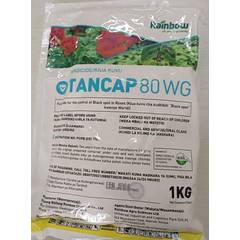 Tancap 80 WG