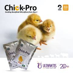Chick Pro-100gm