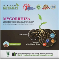 Mycorrhiza Nano Powder