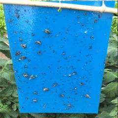 Blue Sticky Paper