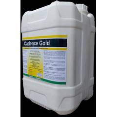 Cadence gold sticker
