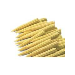 Baby Corn SG18 F1