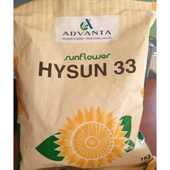 Hysun 33 Sunflower - 1 Kg