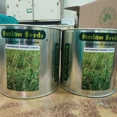 Rhodes Grass Katambora