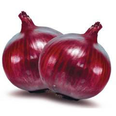 Red Galaxy F1