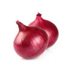 Red King F1