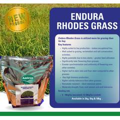 Rhodes Endura
