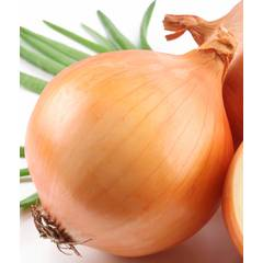 Onion Texas Grano