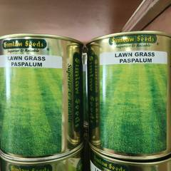 Paspalum Grass