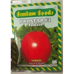 Prostar F1