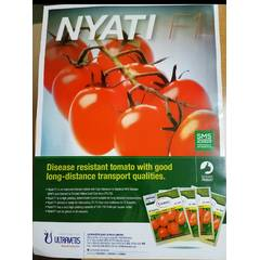 Nyati F1