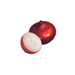 Onion Red Creole (Amiran)