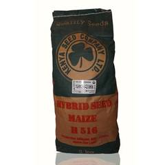 Maize - Highland Varieties 2KG