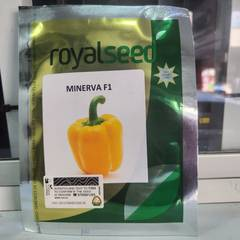 Minerva F1