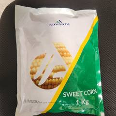 Golden Sweet Corn - 1Kg