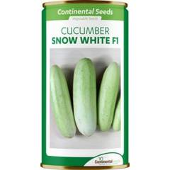 Hybrid Cucumber Snow White F1