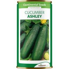 Cucumber Ashley (continental)