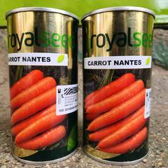 Carrot Nantes (Royal)