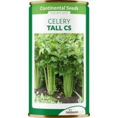Celery Tall CS