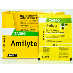 Amilyte