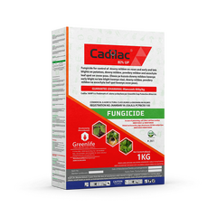 Cadilac 80%WP