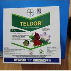 Teldor WG50 - 1Kg