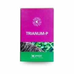 Trianum