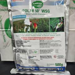 Polar 50 WSG - 500G