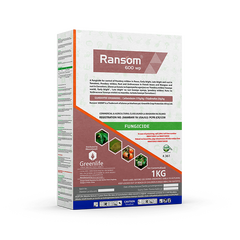 Ransom 600WP