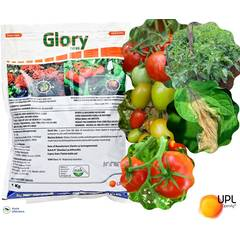 Glory 750 WG