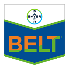 Belt SC 480