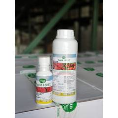 Rapid 120EC