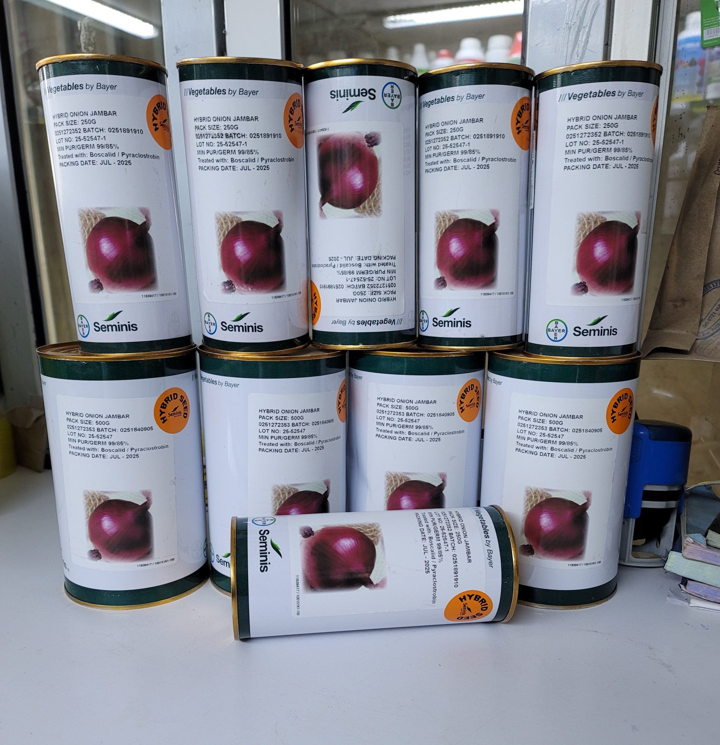 Jambar F1 onion seeds