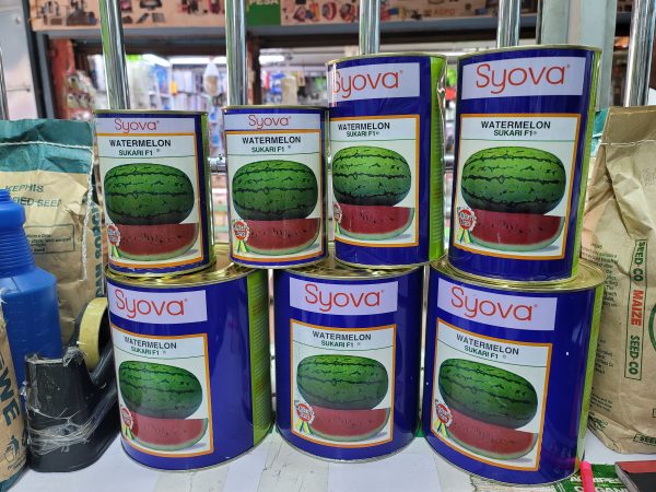Sukari F1 watermelon
