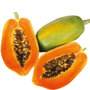 Vega F1 Papaya Seeds – Sweet Red-Fleshed Hybrid