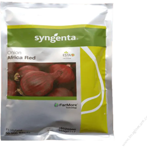 africa-red-f1-onion-seeds-kenya Syngenta Africa Red F1 hybrid red onion seeds in Kenya