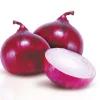 Super Yali onion (improved)