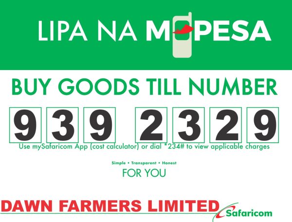 Payment Instructions